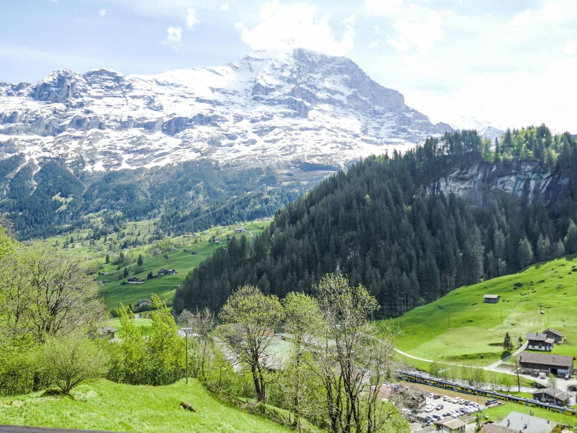 Apartment Auf dem Vogelstein.1 Grindelwald Exterior foto