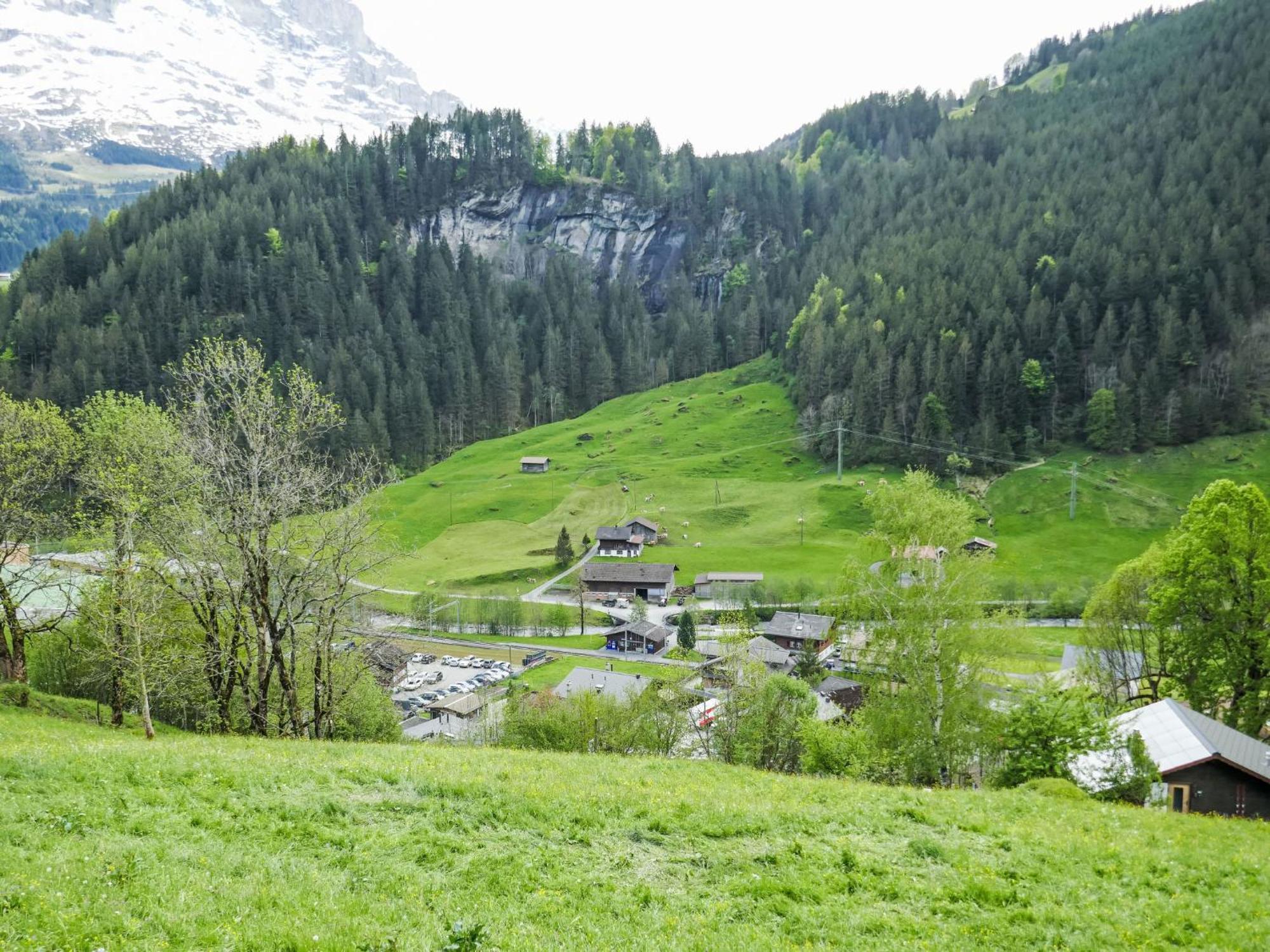 Apartment Auf dem Vogelstein.1 Grindelwald Exterior foto