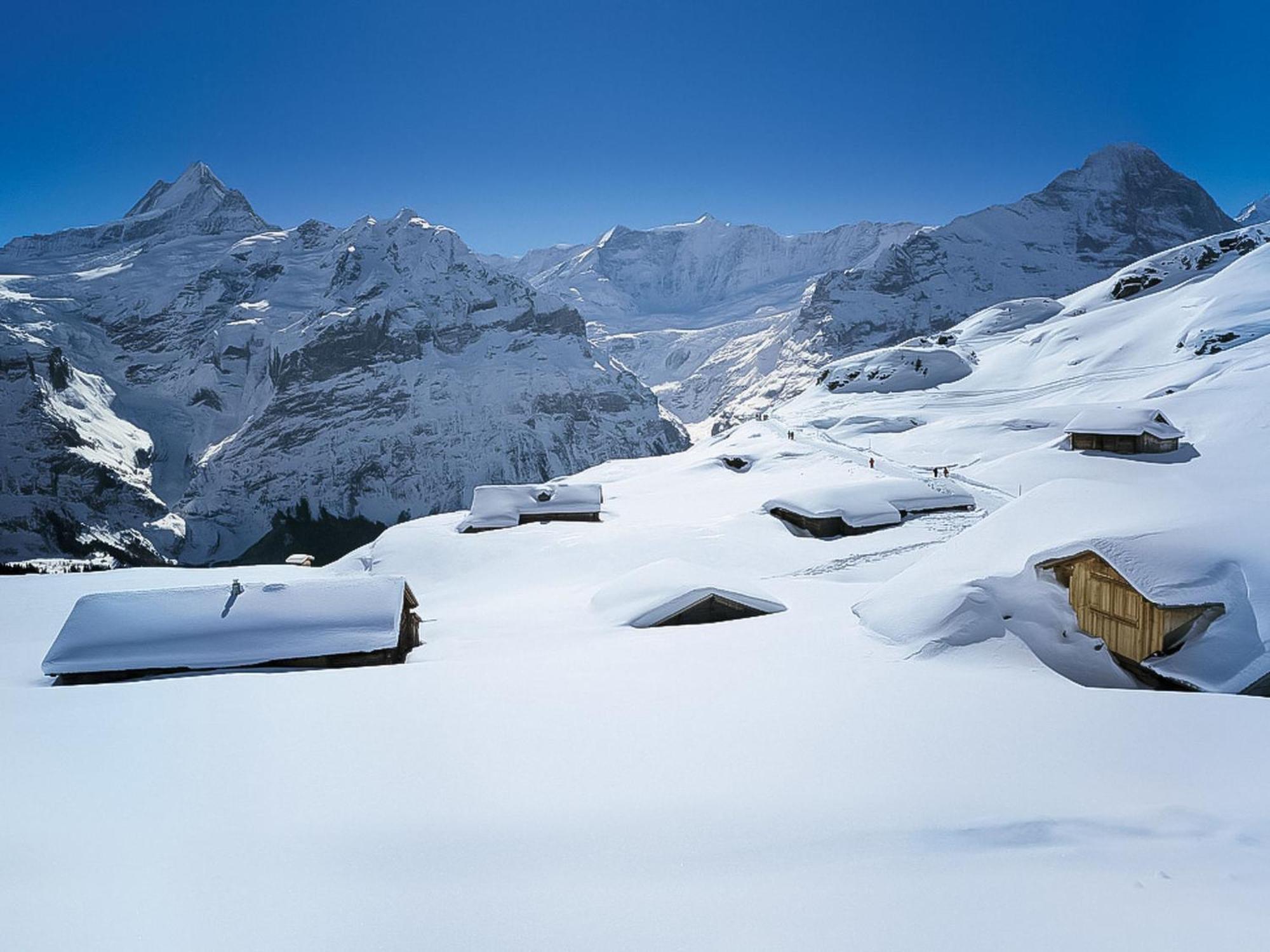 Apartment Auf dem Vogelstein.1 Grindelwald Exterior foto