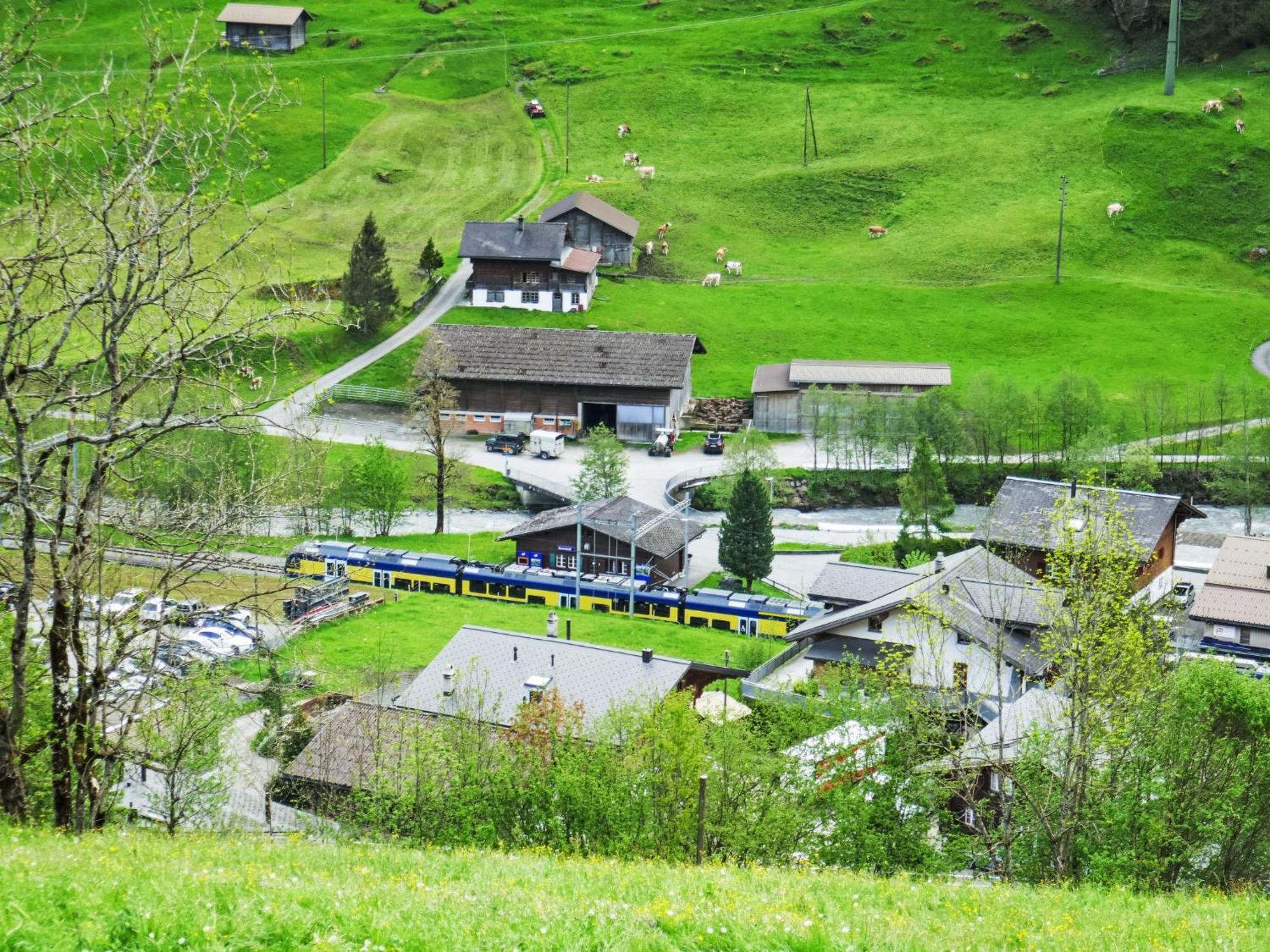 Apartment Auf dem Vogelstein.1 Grindelwald Exterior foto