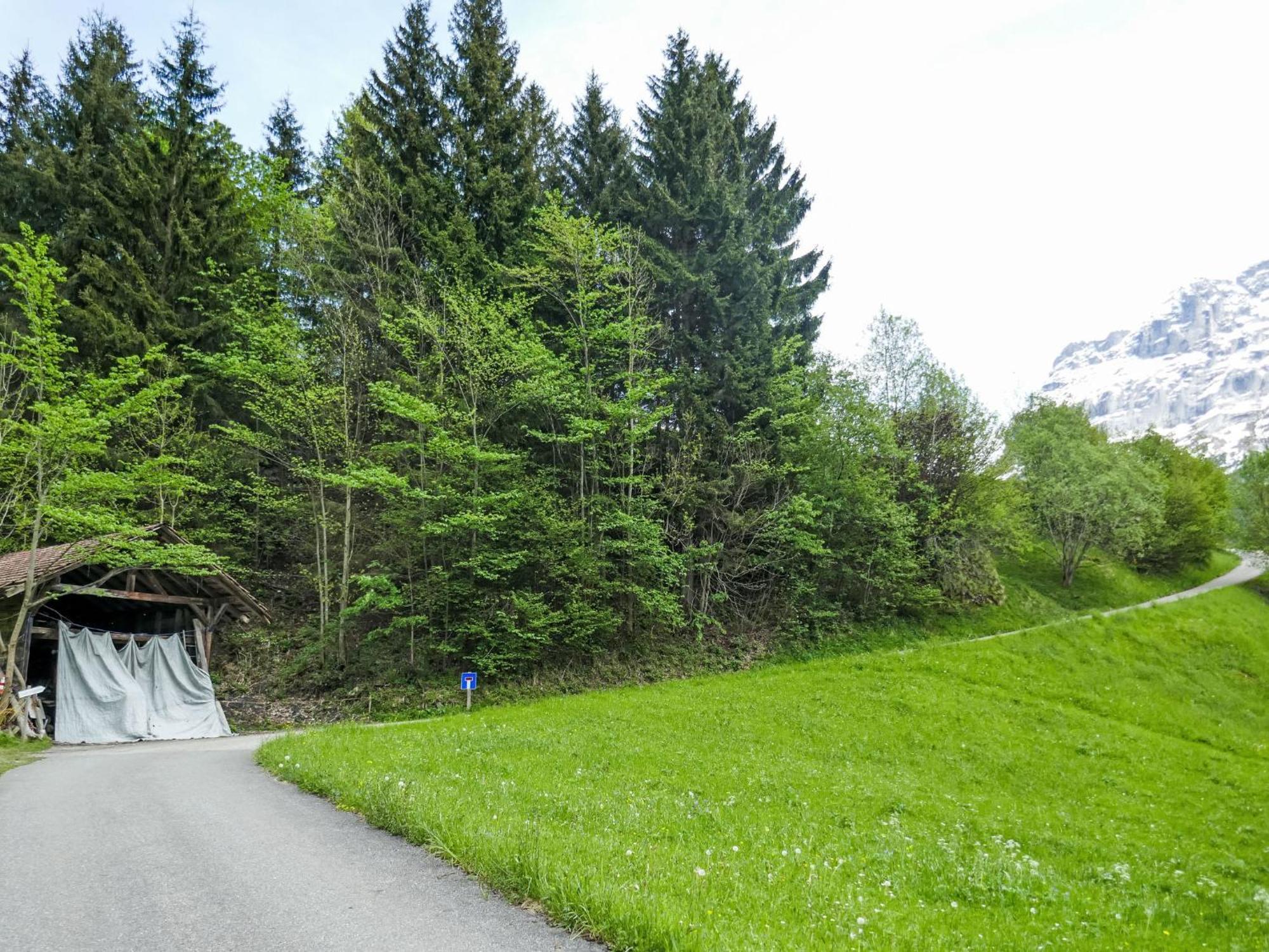 Apartment Auf dem Vogelstein.1 Grindelwald Exterior foto