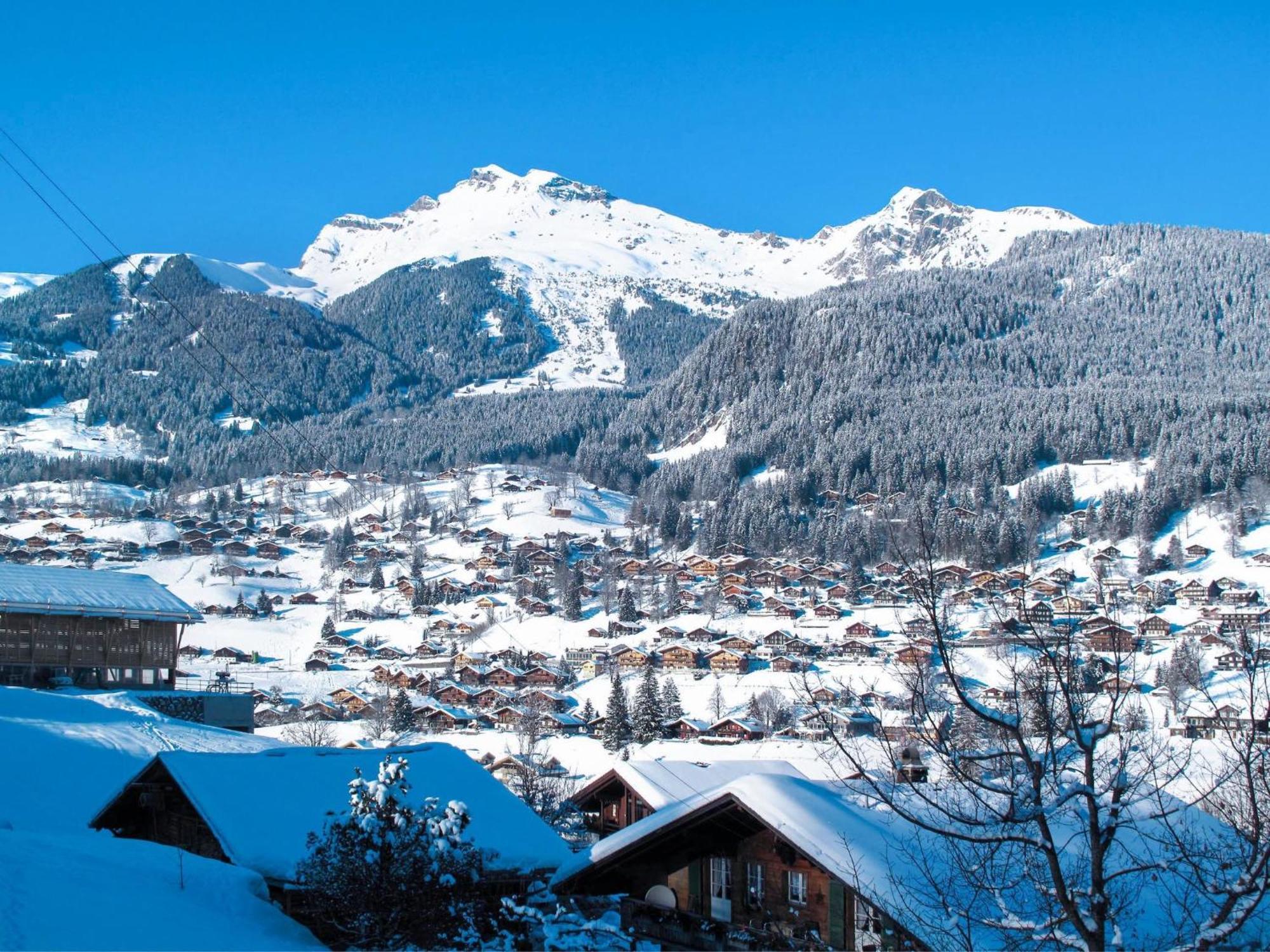 Apartment Auf dem Vogelstein.1 Grindelwald Exterior foto