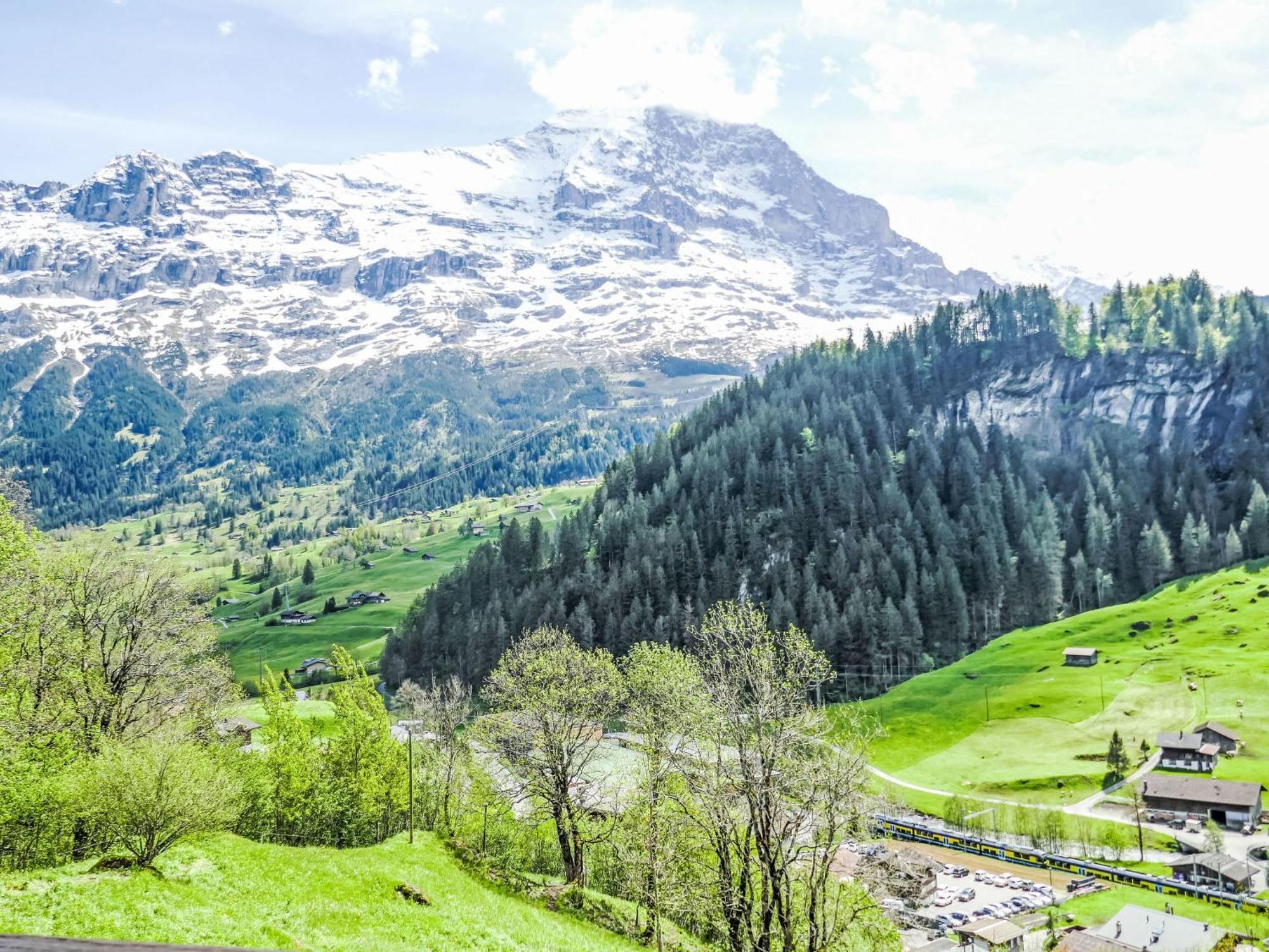 Apartment Auf dem Vogelstein.1 Grindelwald Exterior foto