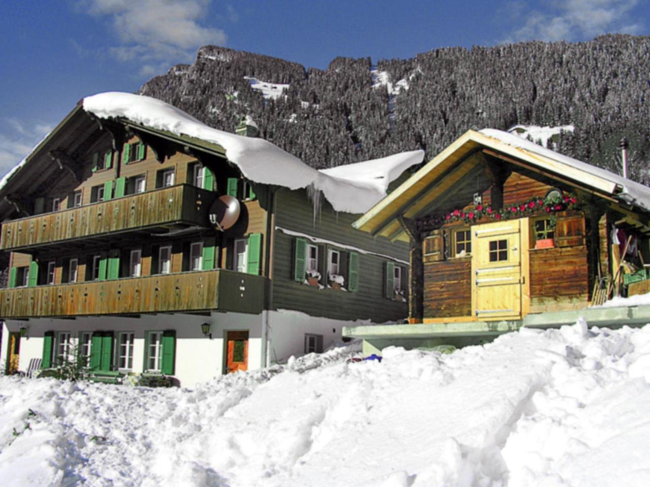 Apartment Auf dem Vogelstein.1 Grindelwald Exterior foto