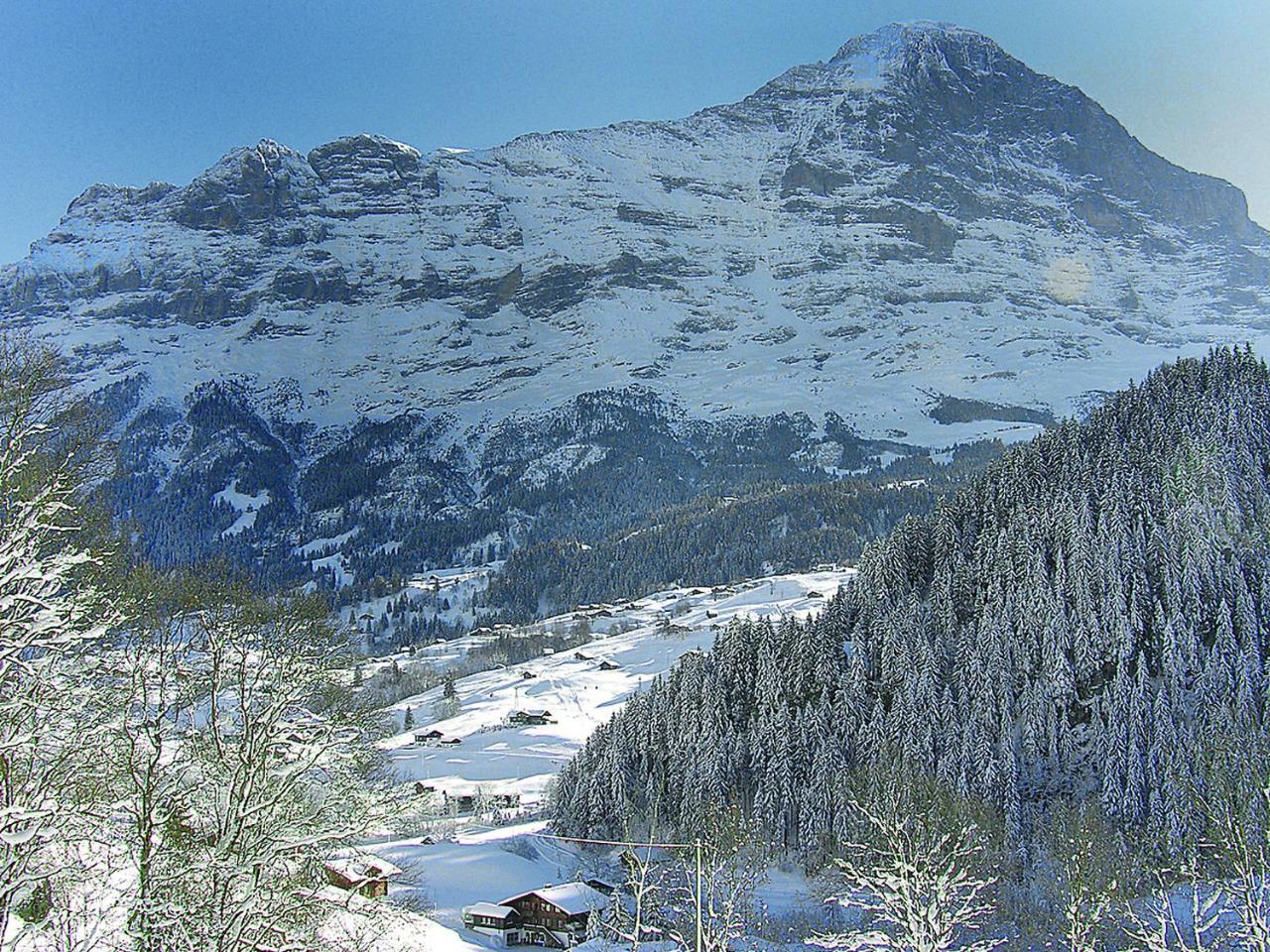 Apartment Auf dem Vogelstein.1 Grindelwald Exterior foto