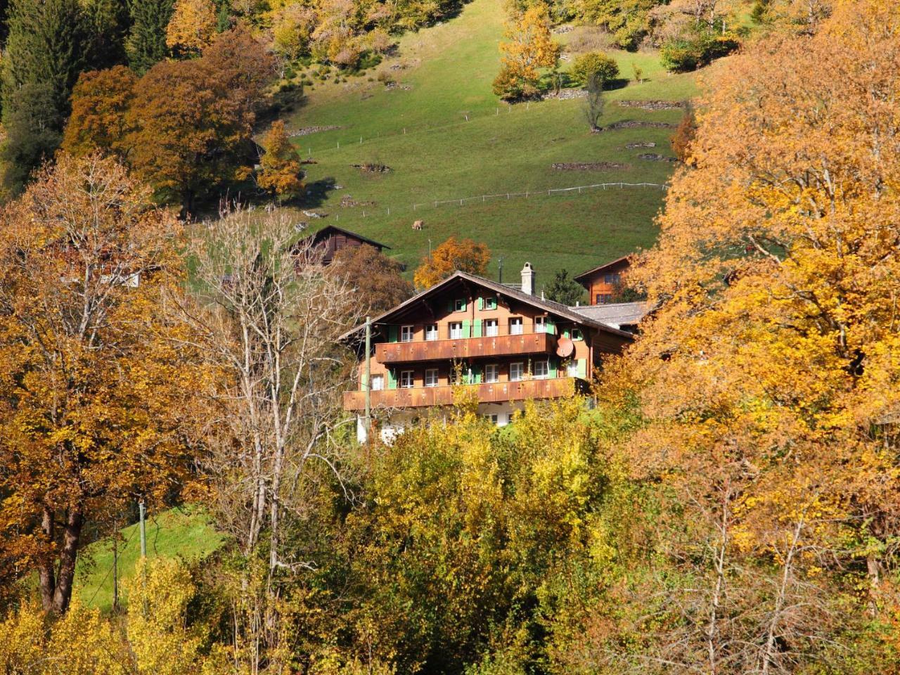 Apartment Auf dem Vogelstein.1 Grindelwald Exterior foto